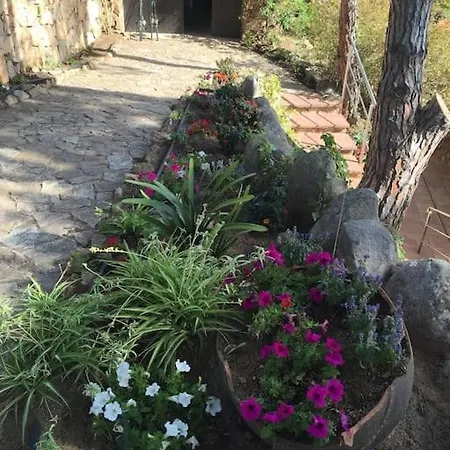 Mitjorn Cala Canyelles *